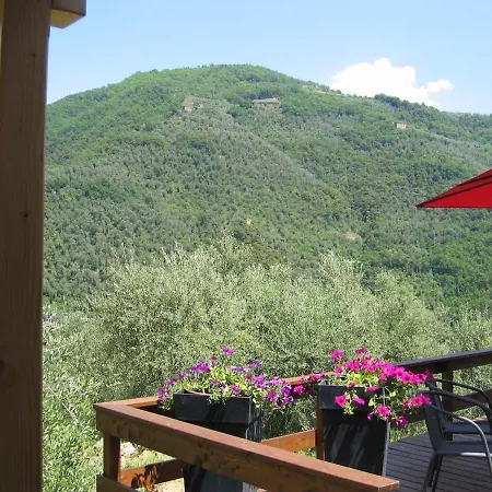 Casarovear Detached House In Olive Yard