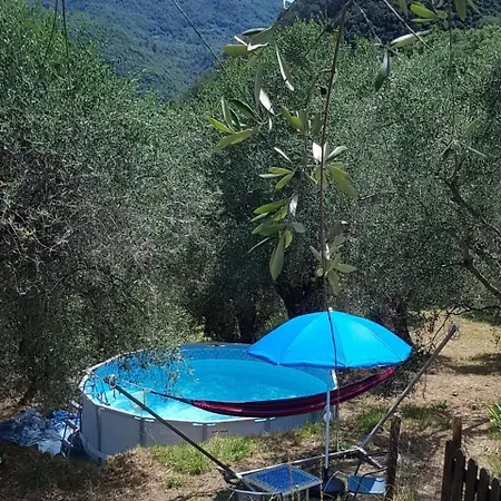 Casarovear Detached House In Olive Yard דירה Casa Veragne