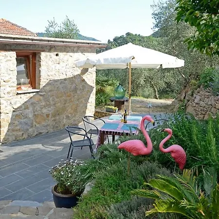 Casarovear Detached House In Olive Yard *
